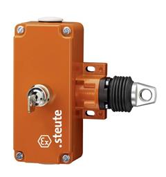 Ex Emg. Pull-wire Ex ZS 75 WVS 295-390N IP54 (2NC/2NO) II 2G Ex d IIC T6 (3m)